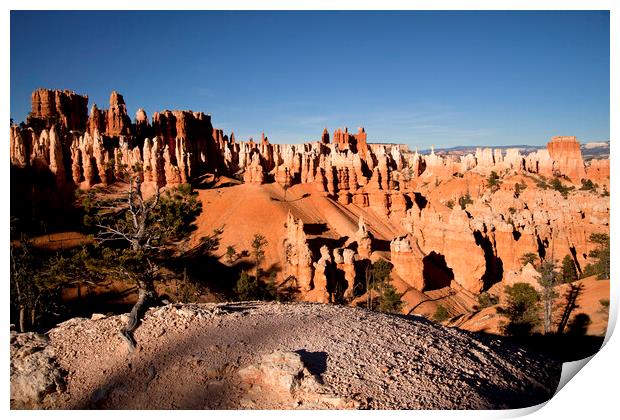 Bryce Canyon Print by peter schickert