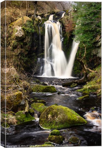 Waterfalls in Yorkshire, Posforth falls 468 Canvas Print by PHILIP CHALK