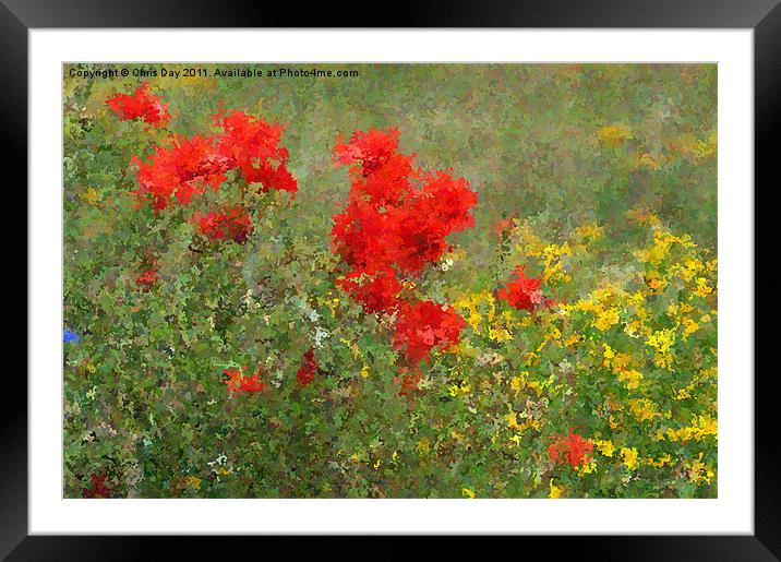 Impressionist Poppies Framed Mounted Print by Chris Day