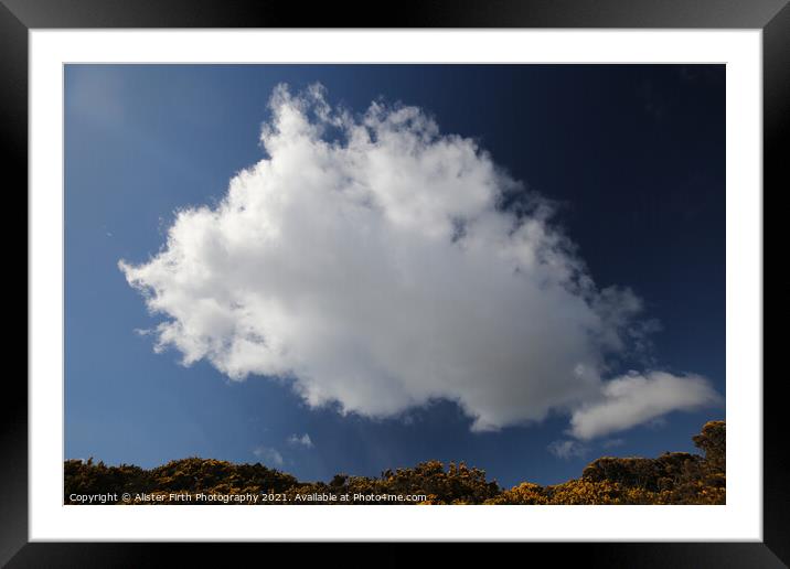 Cloud above yellow gorse Framed Mounted Print by Alister Firth Photography