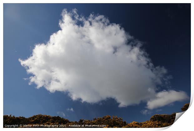 Cloud above yellow gorse Print by Alister Firth Photography