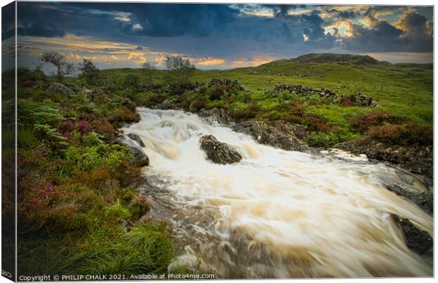 Glentrool waterfall in Scotland  Canvas Print by PHILIP CHALK