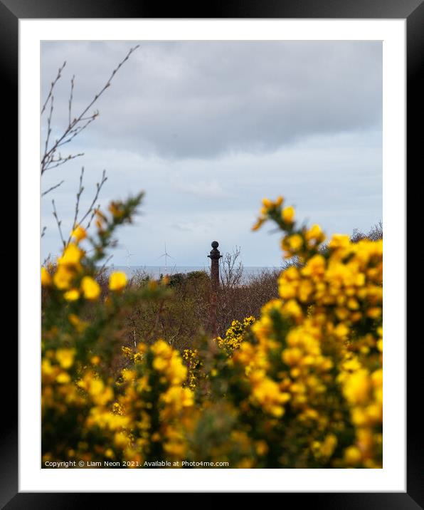 Caldy Golden Gorse Framed Mounted Print by Liam Neon