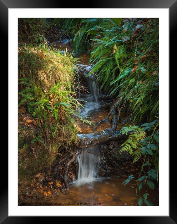 Little waterfall Framed Mounted Print by Ariel Kozak