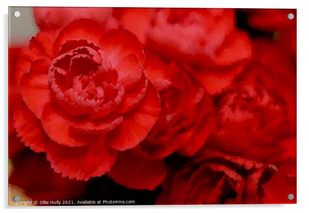Red carnations digital art Acrylic by Ollie Hully