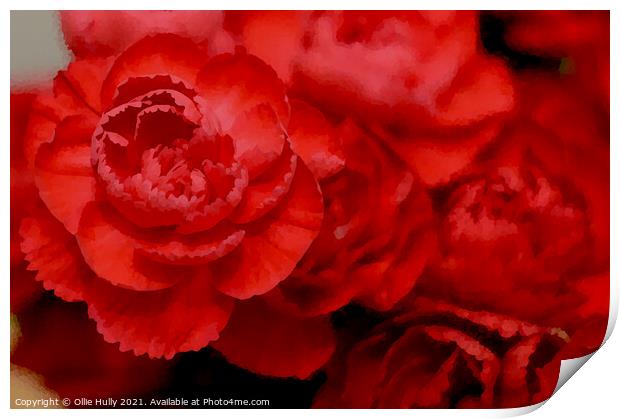 Red carnations digital art Print by Ollie Hully