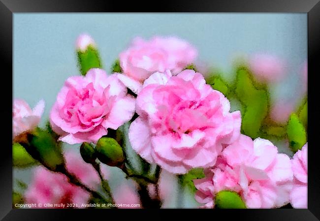 pink carnations digital art Framed Print by Ollie Hully