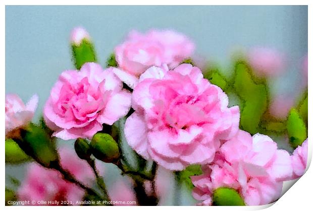 pink carnations digital art Print by Ollie Hully