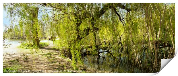 Serene Waterside Stroll, Nottingham Lake Print by Holly Burgess