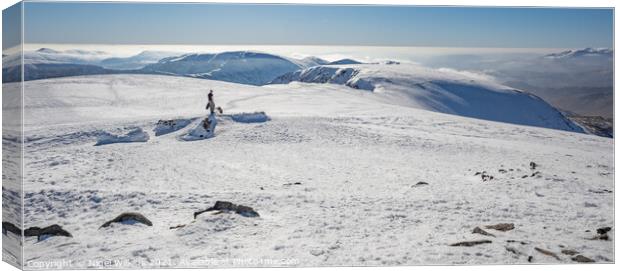 Helvellyn Conquered Canvas Print by Nigel Wilkins