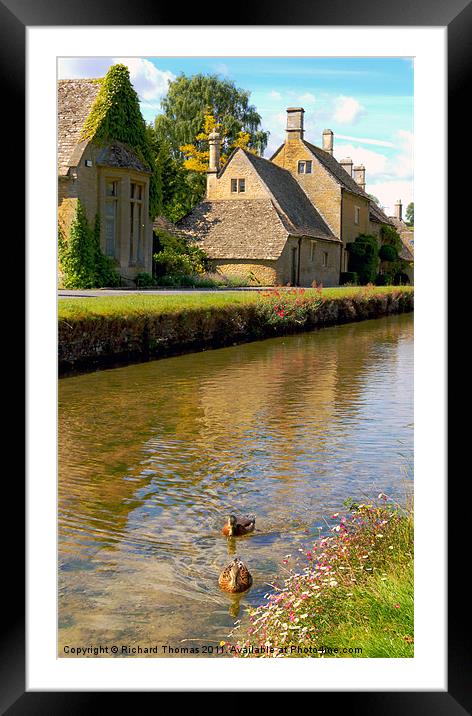 Village Ducks Framed Mounted Print by Richard Thomas