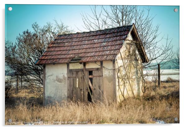 Abandoned hut Acrylic by Ingo Menhard