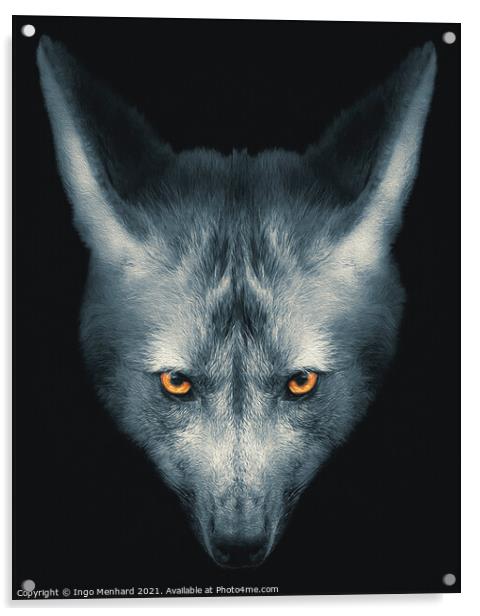 Wolf face portrait Acrylic by Ingo Menhard