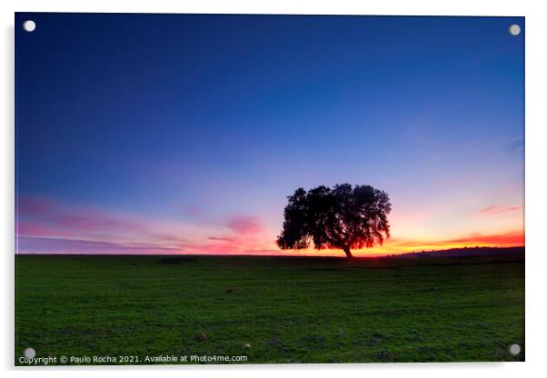 A lonely tree, typical Alentejo landscape at twilight Acrylic by Paulo Rocha