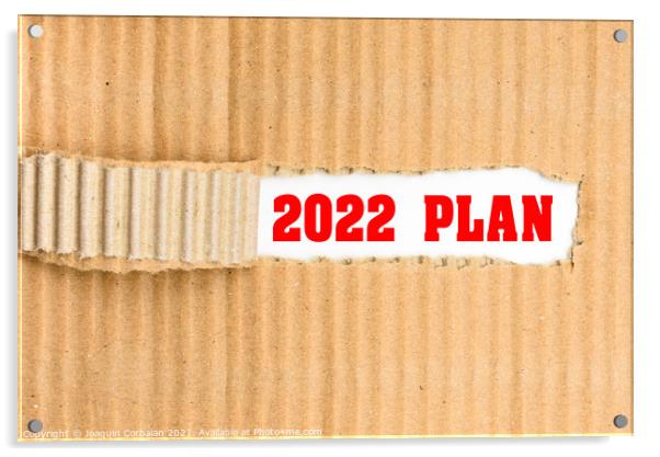 The 2022 plan discovered, a word written on its cover torn from  Acrylic by Joaquin Corbalan