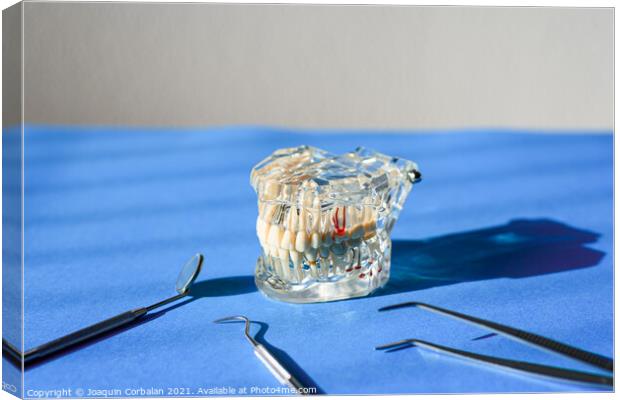 Dental tools for healing dentures, jaw isolated on a dentist doc Canvas Print by Joaquin Corbalan