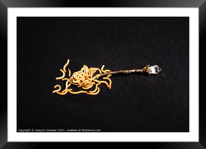 worms in a spoon, on an isolated disgusting background. Framed Mounted Print by Joaquin Corbalan