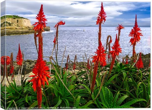 Red Aloes Menorca Canvas Print by Deanne Flouton