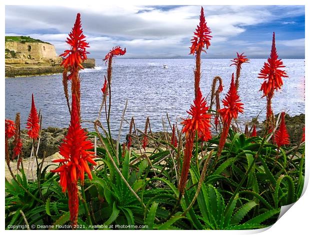 Red Aloes Menorca Print by Deanne Flouton