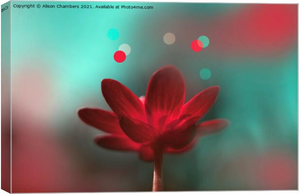 Turquoise and Red Aesthetic  Canvas Print by Alison Chambers