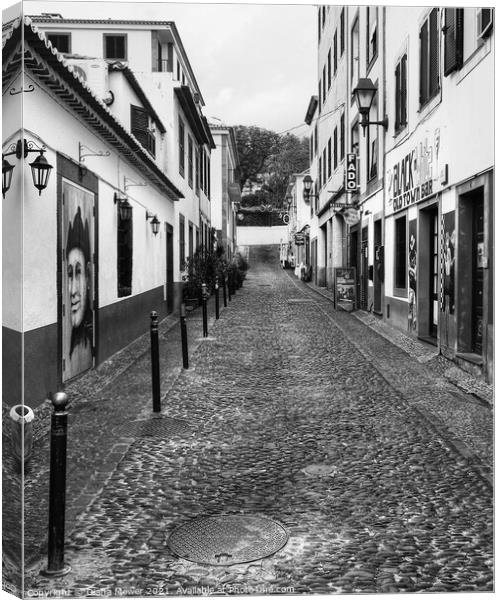 Funchal Back Street in Monochrome Canvas Print by Diana Mower