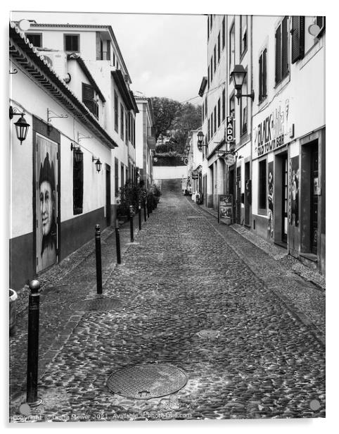 Funchal Back Street in Monochrome Acrylic by Diana Mower