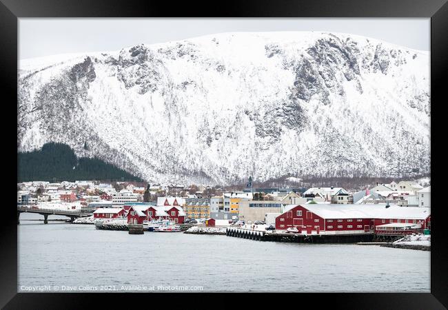 Stokmarknes,Nordland,Norway Framed Print by Dave Collins