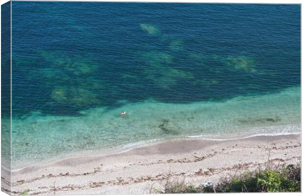 Person swimming in clear blue sea, Devon Canvas Print by mark humpage