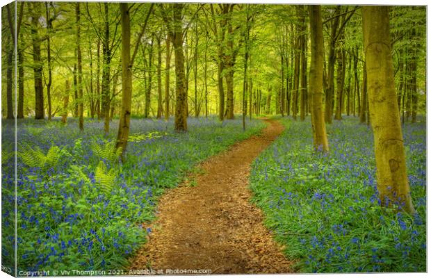 A Walk in the Woods Canvas Print by Viv Thompson