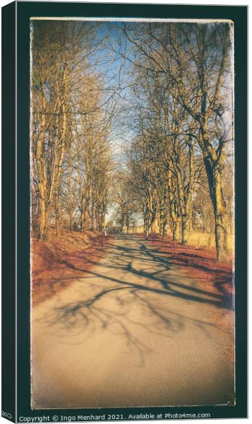Spring alley Canvas Print by Ingo Menhard