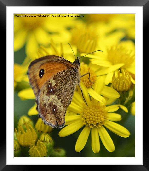 The Gatekeeper Framed Mounted Print by Donna Collett