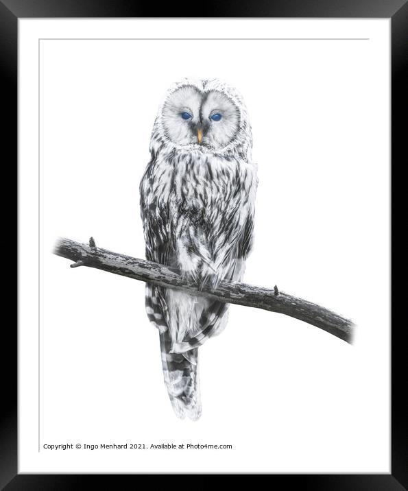 Owl of freedom Framed Mounted Print by Ingo Menhard