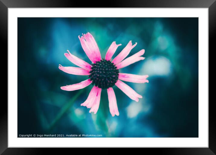 Pinky Framed Mounted Print by Ingo Menhard