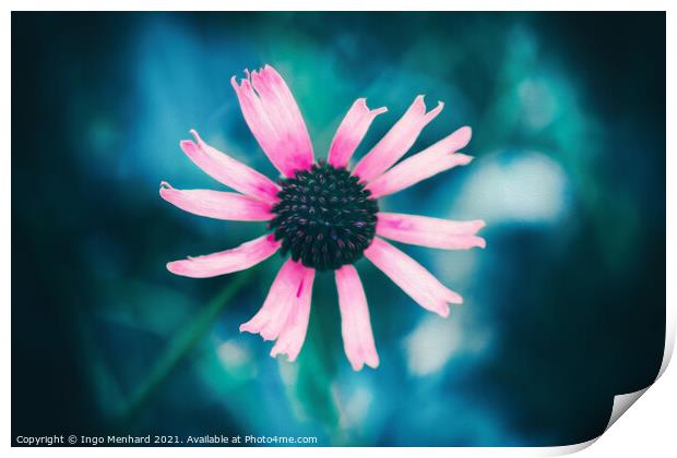 Pinky Print by Ingo Menhard