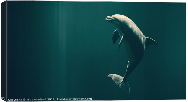 Happy dolphin Canvas Print by Ingo Menhard