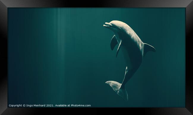 Happy dolphin Framed Print by Ingo Menhard