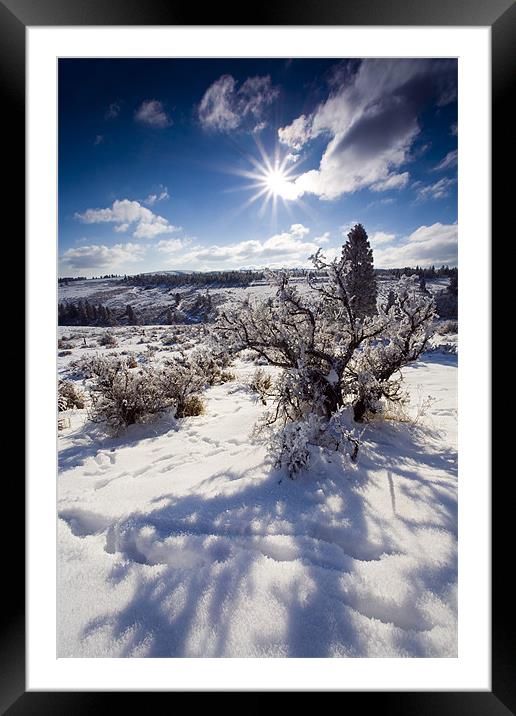 Thawing Shadows  Framed Mounted Print by Mike Dawson