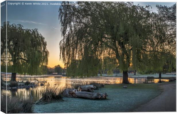 Willow trees over golden lit pond Canvas Print by Kevin White