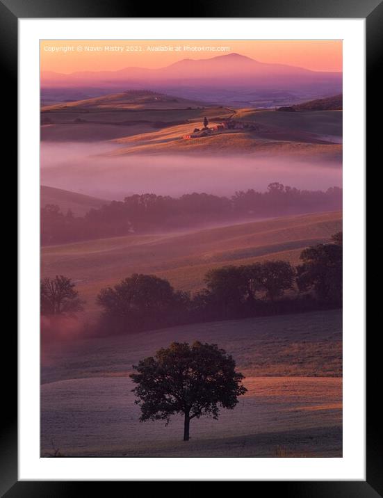 A lone tree, Val D'orcia, Tuscany, Italy Framed Mounted Print by Navin Mistry