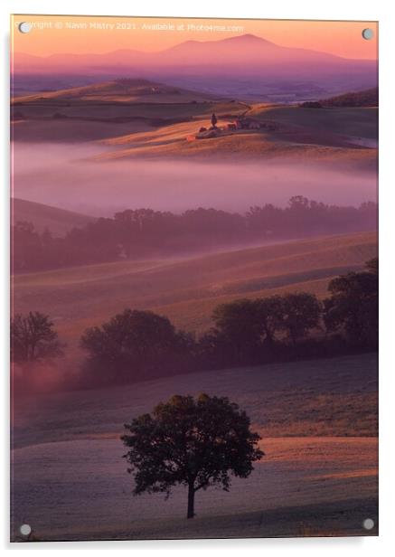 A lone tree, Val D'orcia, Tuscany, Italy Acrylic by Navin Mistry