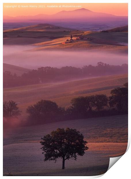 A lone tree, Val D'orcia, Tuscany, Italy Print by Navin Mistry