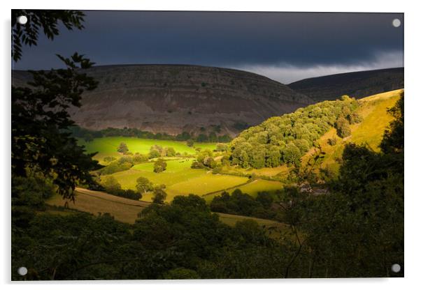 Eglwyseg valley Horseshoe Pass Acrylic by Leighton Collins