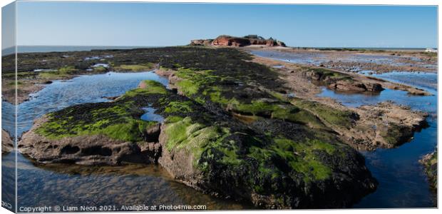 Hilbre Island Rock Pools Canvas Print by Liam Neon