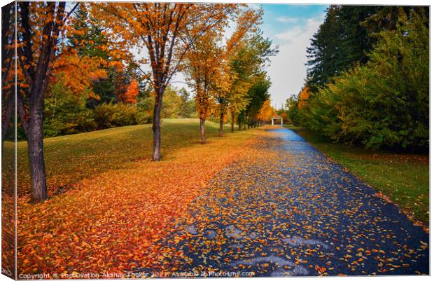Beautiful Autumn or fall colors landscapes Canvas Print by PhotOvation-Akshay Thaker