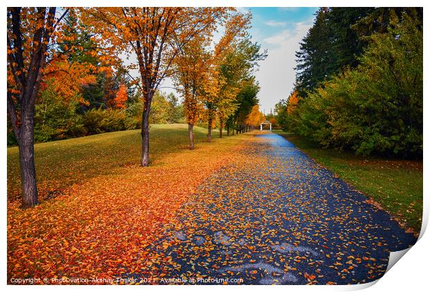 Beautiful Autumn or fall colors landscapes Print by PhotOvation-Akshay Thaker