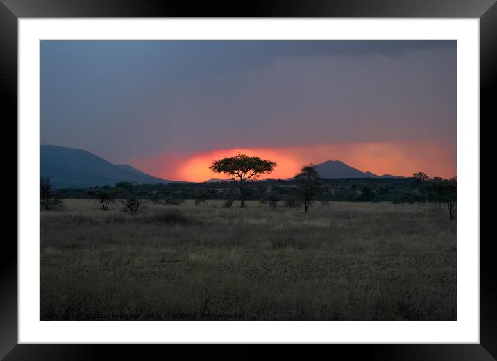 Sunset in the Serengeti with Tree Silhouette Framed Mounted Print by Dietmar Rauscher