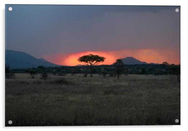 Sunset in the Serengeti with Tree Silhouette Acrylic by Dietmar Rauscher