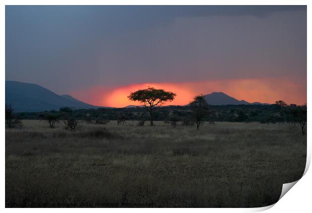 Sunset in the Serengeti with Tree Silhouette Print by Dietmar Rauscher