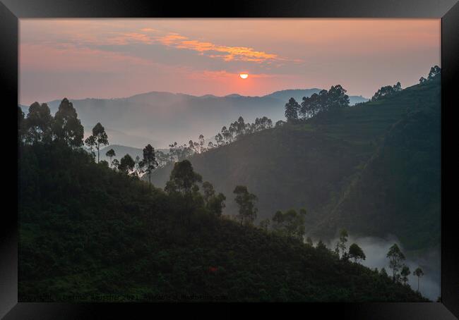 Sunrise in Bwindi Impenetrable Forest, Uganda Framed Print by Dietmar Rauscher