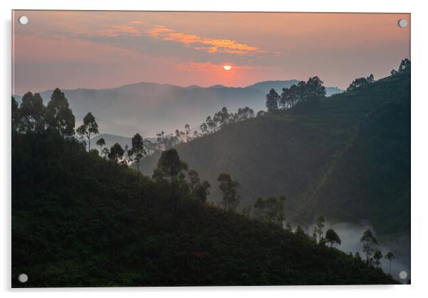 Sunrise in Bwindi Impenetrable Forest, Uganda Acrylic by Dietmar Rauscher